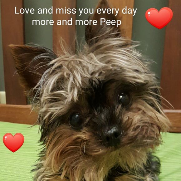 Meet your Posher, John - Picture 1 of 1